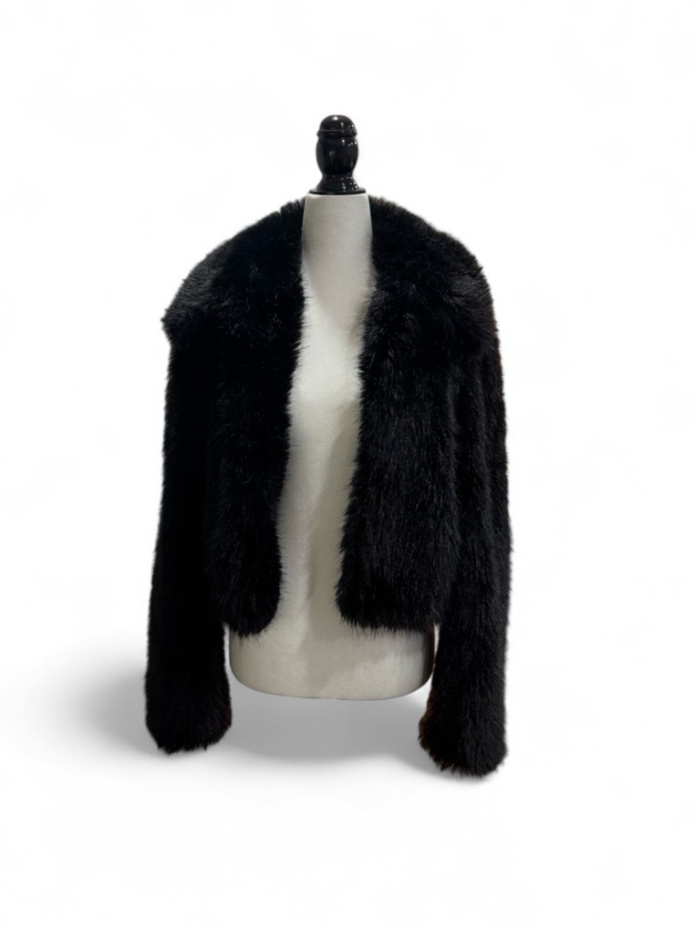 Aritzia Black Faux Fur Teddy Jacket